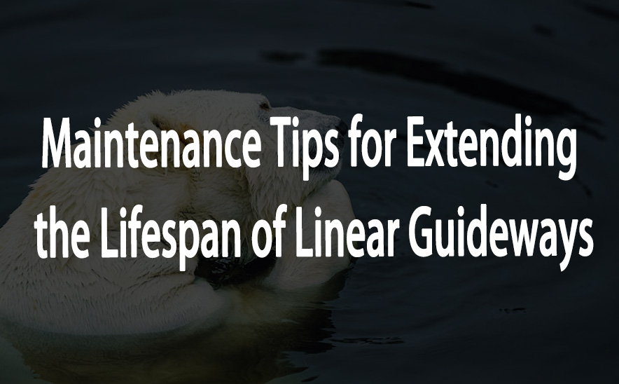 Maintenance Tips for Extending the Lifespan of Linear Guideways